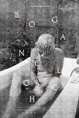 《林中空地》：失忆女子丛林求生，惊悚悬疑背后的人性拷问与终极反转！