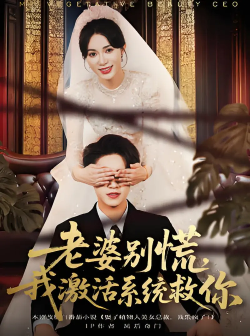 爆笑激活系统拯救婚姻的奇幻冒险：老婆别慌，我来用高科技化解家庭危机